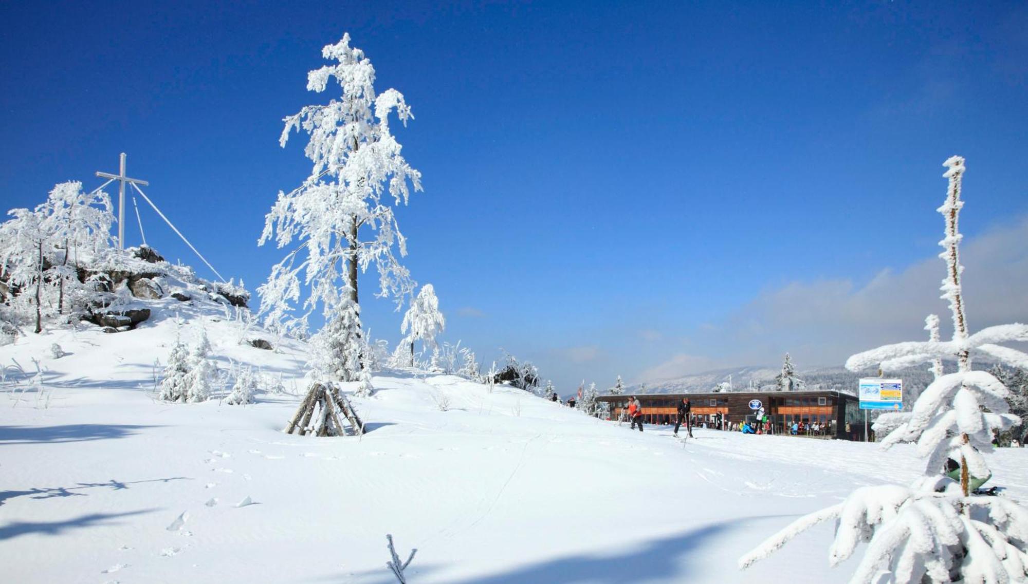 Forsthaus Apartments - Ski + Bike & Hike كلافر ام هوتشفيشت المظهر الخارجي الصورة