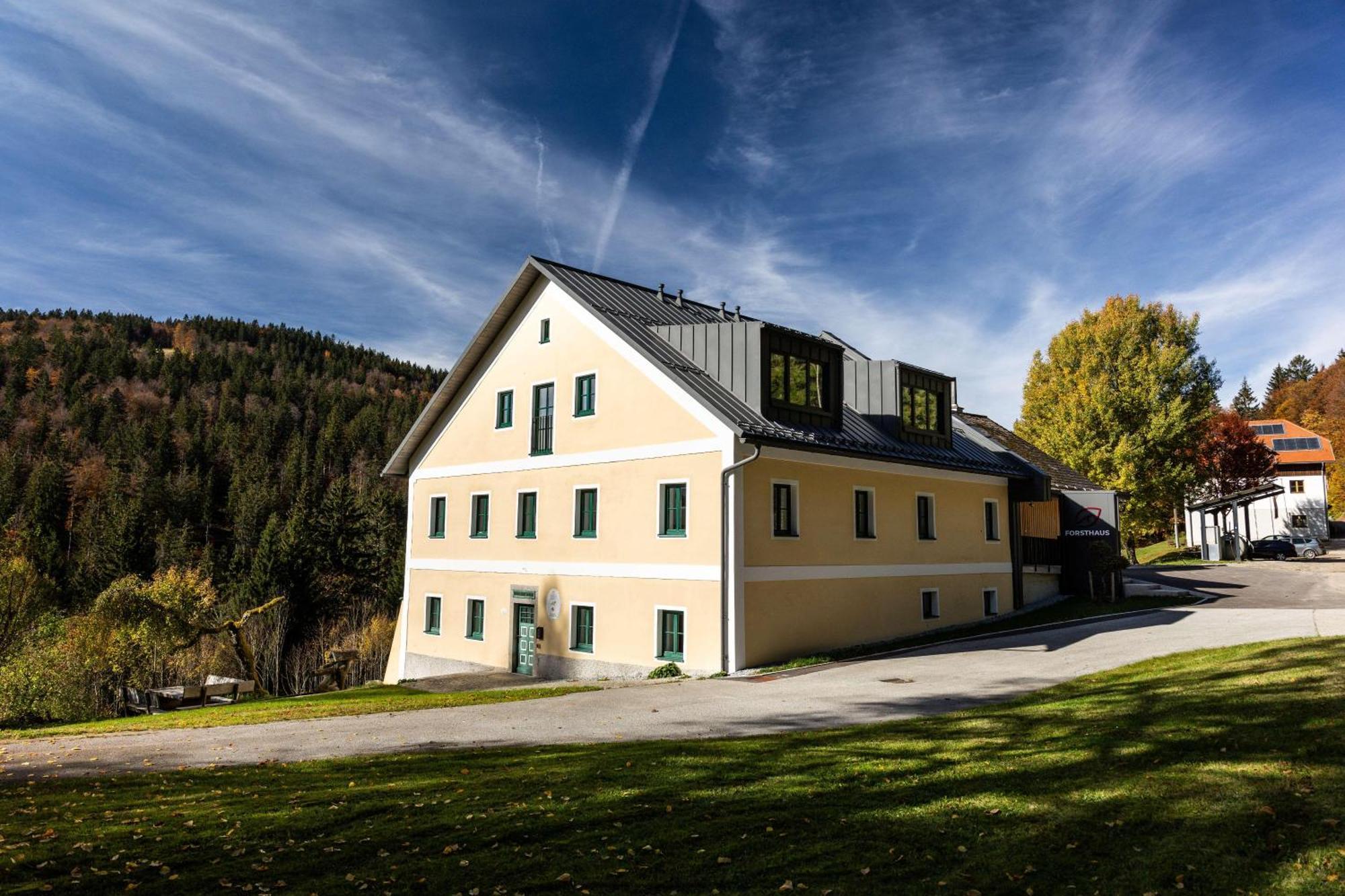 Forsthaus Apartments - Ski + Bike & Hike كلافر ام هوتشفيشت المظهر الخارجي الصورة