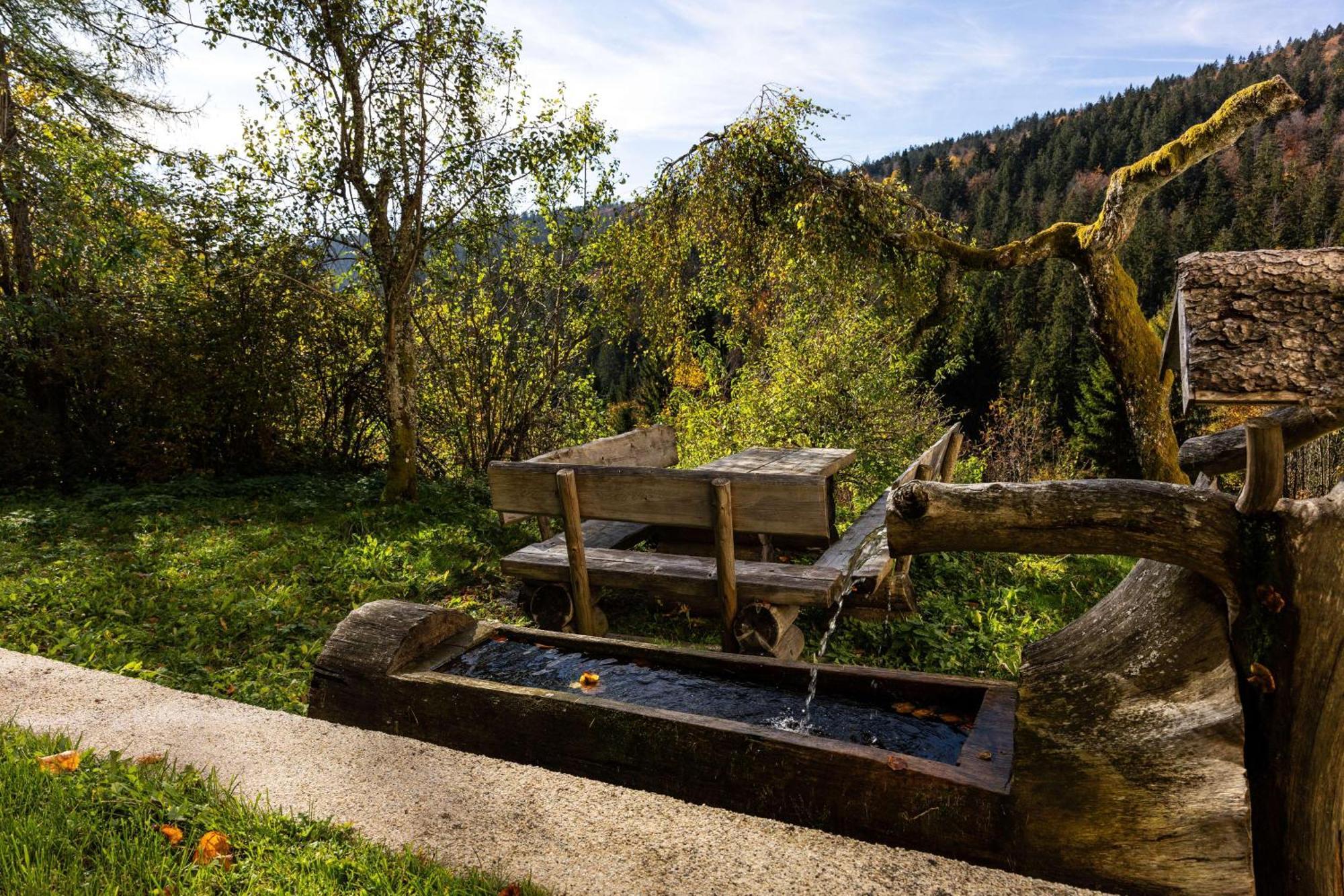 Forsthaus Apartments - Ski + Bike & Hike كلافر ام هوتشفيشت المظهر الخارجي الصورة