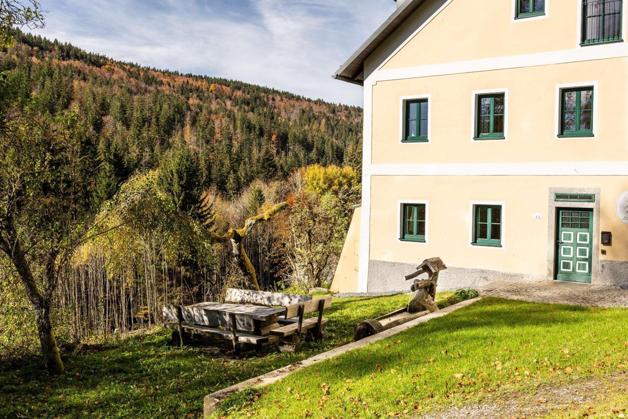 Forsthaus Apartments - Ski + Bike & Hike كلافر ام هوتشفيشت المظهر الخارجي الصورة